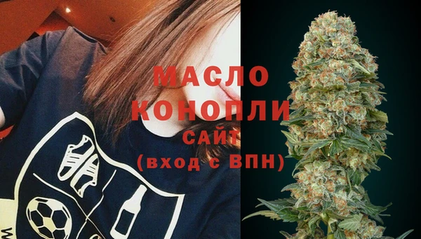 индика Киреевск