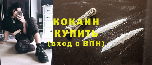дмт Касимов